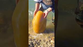 Este chico encontró una piedra increíble en el mar 👏 [upl. by Ahsenat]