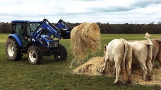 Agricultural Himac HaySpin Bale Spinner  Himac Attachments [upl. by Anilet]