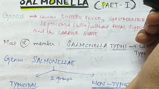 Salmonella  Part 1   Microbiology  Handwritten notes [upl. by Nevyar]