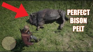 Red Dead Redemption 2  Perfect Bison Pelt Location [upl. by Anel]