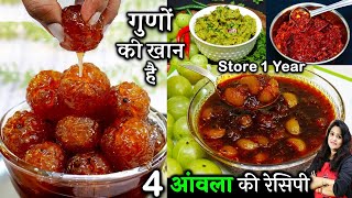 100 बीमारियों का 1 इलाजआँख बालचेहरा पेट बीपीशुगर के लिए गुणकारी Amla Ki Recipe  Amla ki Launji [upl. by Mccallion]