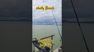 Shelly Beach wharf fishing [upl. by Anita987]