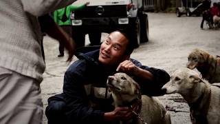 Mushers Camp and Sled Dog Adventure  Skagway Alaska [upl. by Gnilrac]