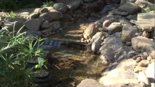 Smartponds How to Build a Pond or Water Feature [upl. by Nalod]