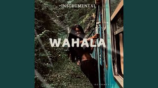 Ckay Wahala instrumental [upl. by Hseham]