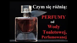 Czym się różnią PERFUMY od Wody TOALETOWEJ perfumowanej [upl. by Ian]