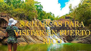 8 CHARCAS PARA VISITAR EN PUERTO RICO 🇵🇷 [upl. by Aerdnaek627]