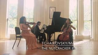 P I Tchaikovsky The Nutcracker  Pas De Deux for violin cello and piano [upl. by Eelame]