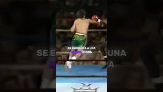 Chavez 🇲🇽 Vs Mayweather 🇺🇸 El Guerrero Mexicano vs La Mamba Negra🥊🐍 [upl. by Normie]