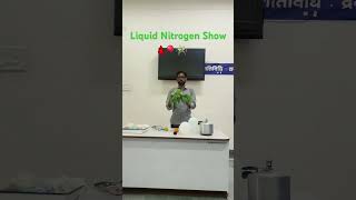 Liquid nitrogen showchemistry show mazik youtube shorts trendingeducation [upl. by Cormick]