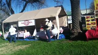 Esparto CA Almond Festival 2014 [upl. by Yolande]