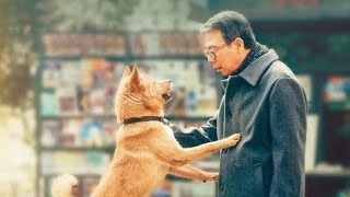 Hachi A Dogs Tale Full Movie Facts And Review  Richard Gere  Joan Allen [upl. by Annirak]