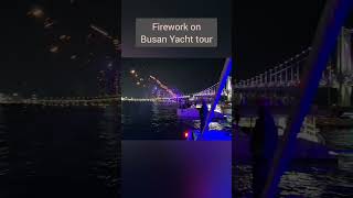 Busan tour Firework on Busan night yacht tour [upl. by Balcer806]