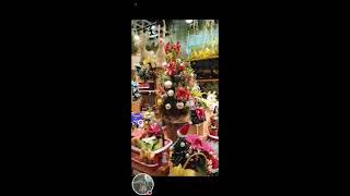 FLOWER MARKET LIVE LANG MUNA FOR WH [upl. by Stanwinn]