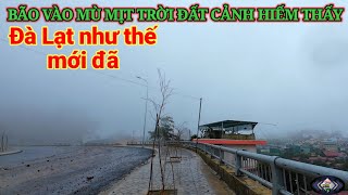 BÃO VÀO ĐÀ LẠT MÙ MỊT TRỜI ĐẤT CẢNH HIẾM THẤY BAO TRÙM THÀNH PHỐ [upl. by Nylrak]