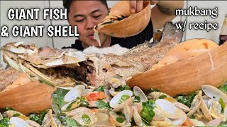 GIANT FISH  GIANT SHELL  MUKBANG SEAFOOD  MUKBANG PHILIPPINES  TOL BULOY MUKBANG [upl. by Epoillac597]