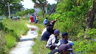 Wedan Banjirnya makin parah yang mancing juga makin melimpah [upl. by Sutsuj]