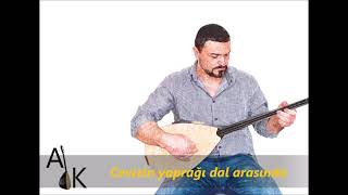 Cevizin yaprağı dal arasında karaoke türkü türküler türkülerimiz [upl. by Wahlstrom497]