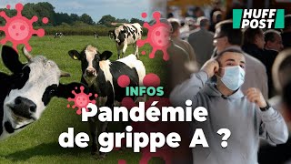 Le virus H5N1 vatil causer la prochaine pandémie [upl. by Ratcliffe]