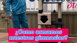 ¿Como armamos nuestros gimnasios para gatos [upl. by Halimak]