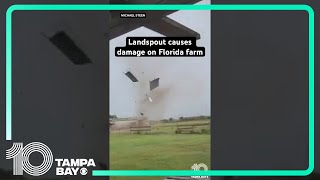 Landspout causes damage on Polk County farm in Florida [upl. by Nylatsirhc344]