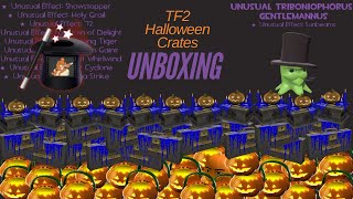 2024 TF2 Hallowen crates unboxing [upl. by Sarilda]