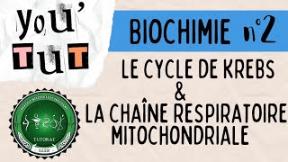 📚YOUTUT📚BIOCHIMIE Le cycle de krebs et la chaîne respiratoire mitochondriale [upl. by Elhsa380]