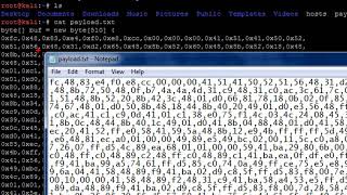 Chapter 4  Video 1 DATA Transferring by DNS Traffic A records [upl. by Nerissa]