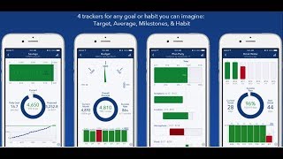 Strides What I Use To Track My Goals [upl. by Ardnahsal]