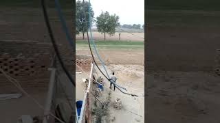 Choudhary agro farm Sirsa Haryana doglover farmer goatfarming viralvideos dobberman animals [upl. by Wilone829]