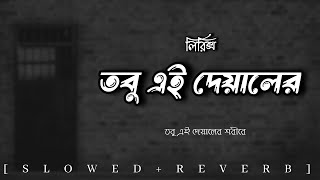 oniket prantor lofi  তবু এই দেয়ালের শরীরে  Reverblofi  Artcell  lyric vedio  অনিকেত প্রান্তর [upl. by Beattie767]