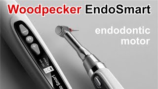 Woodpecker EndoSmart Endodontic Motor Review [upl. by Adnohryt]