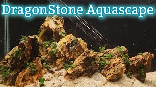 Aquascaping with Dragonstone A Step by Step Guide [upl. by Are563]