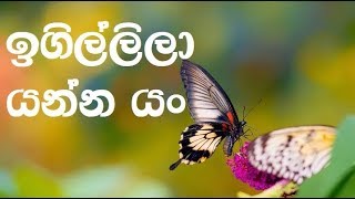 Igillila Yanna Yan karaoke without voice  ඉගිල්ලිලා යන්න යං [upl. by Ynabla]