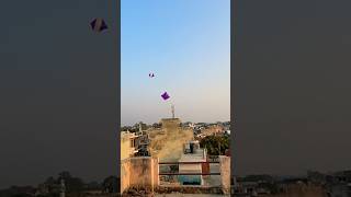 Kite looting from rooftop🪁Big kite catchingCutting kite caught on roof Flying big kite shorts [upl. by Cyrano469]