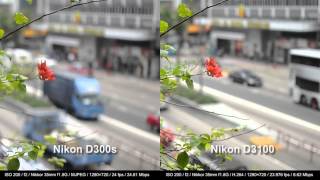 Review Nikon D3100 vs D300s [upl. by Johanan930]