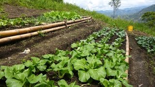 Características de la Agroecologia una Agricultura Más Sana  TvAgro por Juan Gonzalo Angel [upl. by Otilegna]