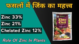 Zinc Fertilizer For Plants  Zinc Sulphate 33 21  Chelated Zinc EDTA 12  ज़िंक का महत्व [upl. by Eeryn]