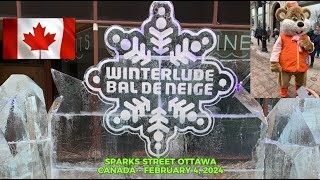 OTTAWAS WINTERLUDE  BAL DE NEIGE ICE SCULPTURES on SPARKS STREET WINTERLUDE FESTIVAL 0204244K [upl. by Lindon]