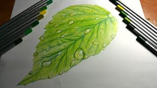 Yaprak ve Su Damlası Çizimi  Drawing Water Drop on Leaf [upl. by Eberle]