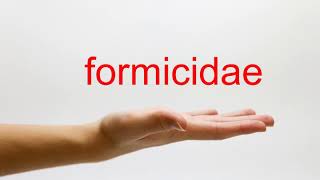 How to Pronounce formicidae  American English [upl. by Alrick661]