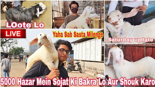 Deonar Bakra Mandi 2024  Saturday Live Mandi Update  5000 hazar Mein Bakra Lo Abhi 6 January 2024 [upl. by Hanley]