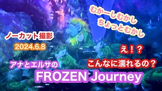 【TDS】新エリアのアトラクションアナとエルサのFrozen Journey スタートからノーカットで撮影 [upl. by Havener]