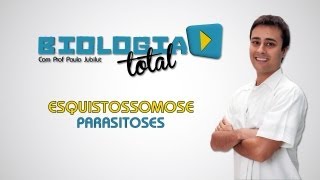 Esquistossomose  Parasitoses  Prof Paulo Jubilut [upl. by Enitsenrae]