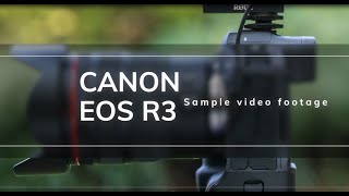 Canon EOS R3 test footage by Professional Photo [upl. by Armand]