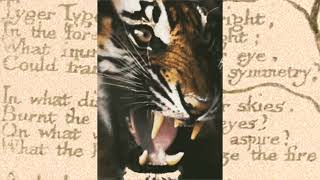 The Tyger by William Blake read by A Poetry Channel [upl. by Atinaj96]