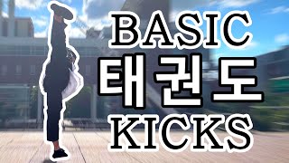 6 FUNDAMENTAL Taekwondo Kicks [upl. by Idell812]