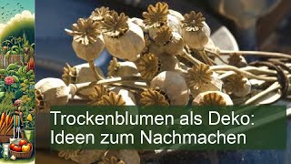 Trockenblumen als Deko Ideen zum Nachmachen [upl. by Atsiuqal]