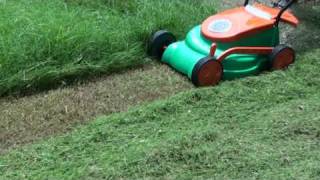 CUTTING THICK AND LONG GRASS [upl. by Mindy]