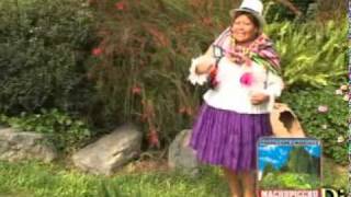 ROSITA DEL CUSCO  CARNAVAL ACOMAINO [upl. by Fesuy]